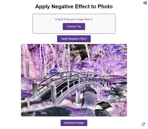 Negative Photo Effect Online Tool for Free