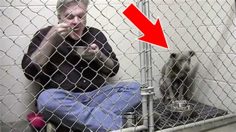 Il s'enferme dans une cage avec un chien battu pour lui apprendre à ...