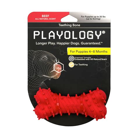 Playology Puppy Teething Bone Beef Dog Toy, Small | Petco