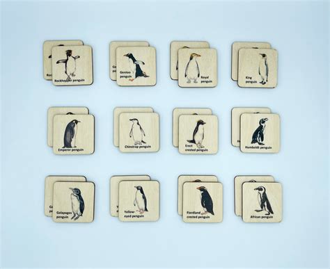 Wooden Penguin Memory Game – Wood Contour Canada