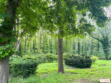 Le parc de la Légion d'honneur de Saint-Denis - nos photos - image00027