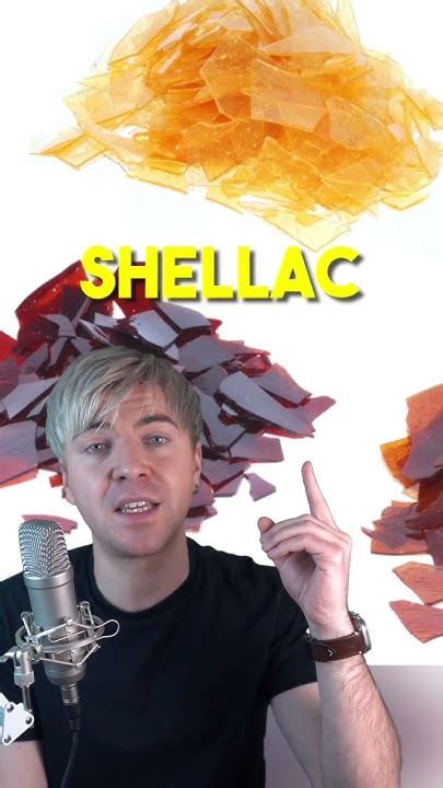 Des insectes dans les schoko-bons ? 🐛 - YouTube