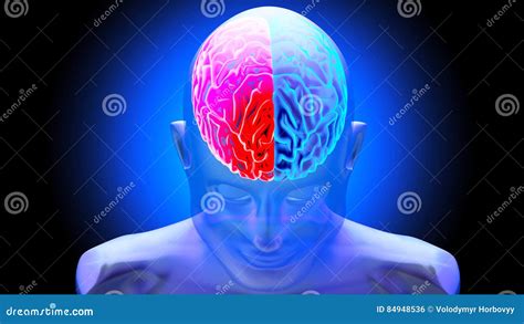 L'esprit humain 3D rendent illustration stock. Illustration du biologie ...