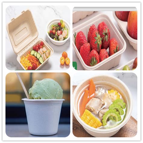 Bagasse Products - HongRen