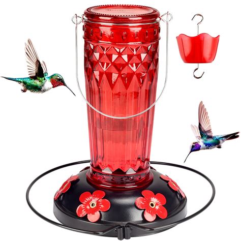 Hummingbird Feeder-16 Ounces，6 Feeding Ports Glass Hummingbird feeders ...