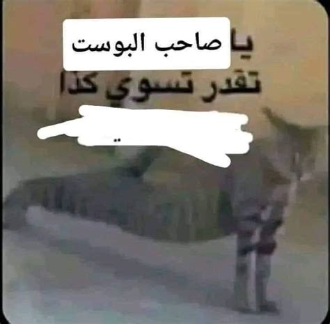[Arabic > English] Saw this meme today and have no idea what it could ...