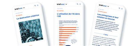 Brief.eco - Nos contenus pour l'Économie-Gestion
