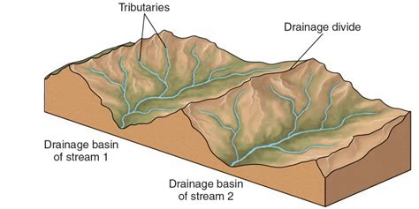 Drainage patterns of the rivers - World Rivers
