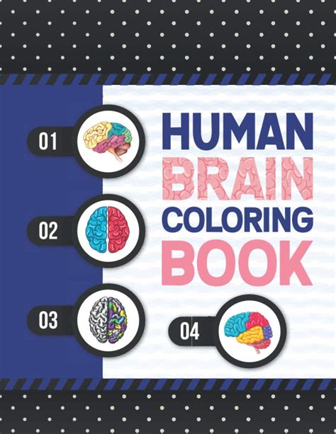 Buy Human Brain Coloring Book: Neuroanatomy Coloring Work Book for ...