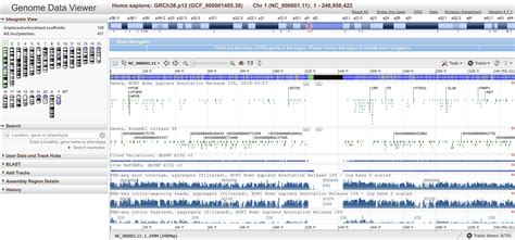 NCBI Genome Viewer · GenoCat.tools
