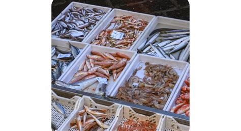 Aménager une poissonnerie - Tendance rénovation de magasin - La Maison ...