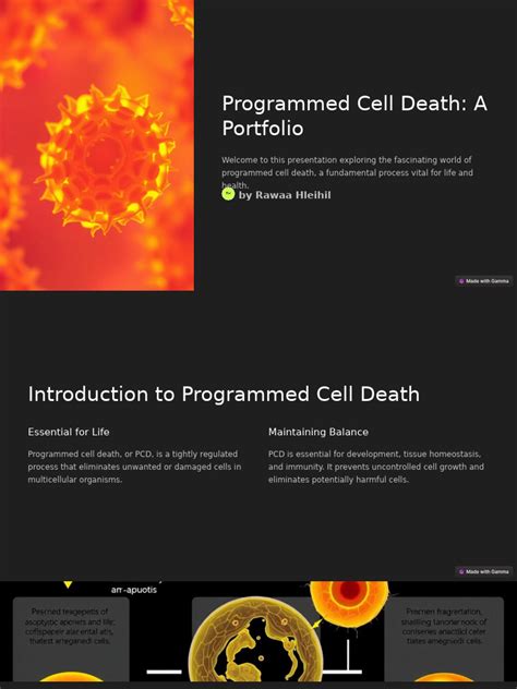 Programmed-Cell-Death-A-Portfolio | PDF | Apoptosis | Inflammation