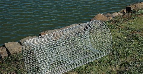 DIY Fish Trap Tutorial