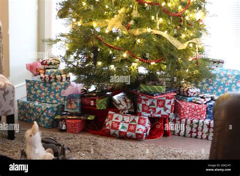 Gifts under tree hi-res stock photography and images - Alamy