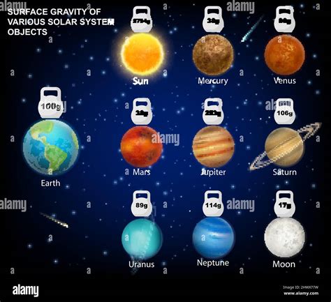 Surface gravity of Sun, Moon, Solar System planets vector infographic ...