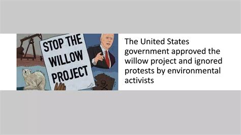 THE WILLOW PROJECT.pptx