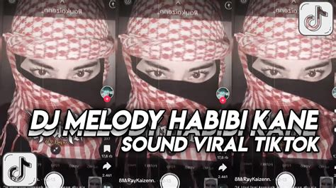 DJ Melody Habibi Sound Viral Tiktok