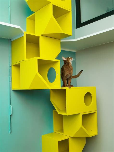 9 of the Craziest Cat-Climbing Structures in the World | Pared para ...
