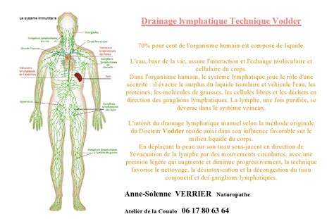 Manual Lymphatic Drainage Vodder Technique at Ali Winston blog