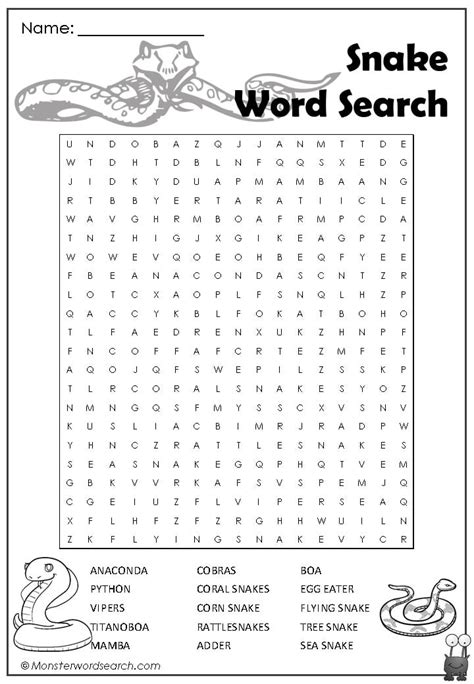 Snake Word Search