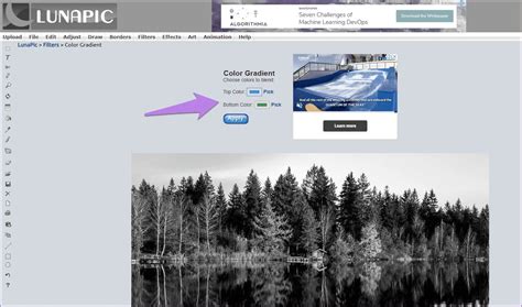 7 Free Online Tools to Convert Black and White Photos to Color ...
