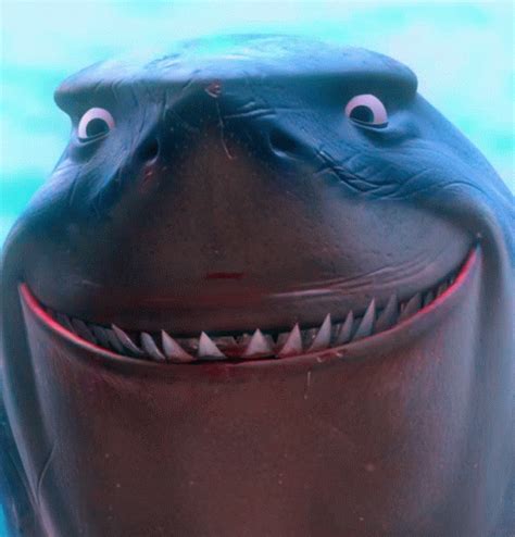 Shark Finding Nemo GIF - Shark Finding Nemo Bruce - Descubre y comparte GIF