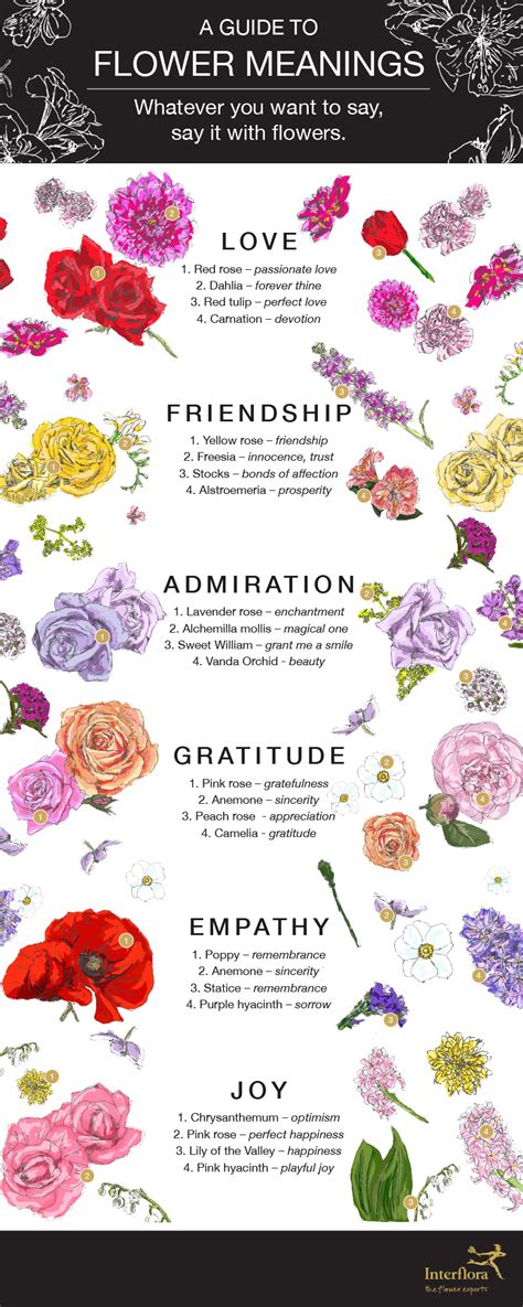 Flower Meanings Infographic - Interflora | Flower meanings, Language of ...