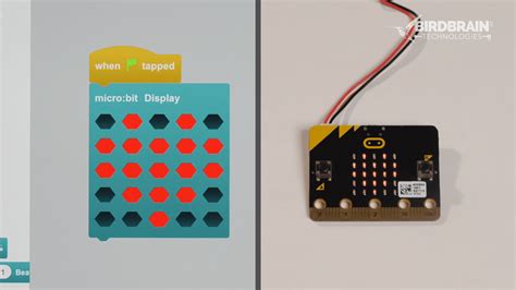micro:bit BirdBlox Lessons - BirdBrain Technologies