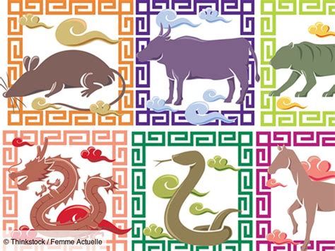 Horoscope chinois : découvrez votre signe astrologique et son histoire ...