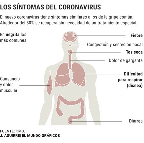 Síntomas del Coronavirus, tratamiento y contagio: todo lo que se sabe ...