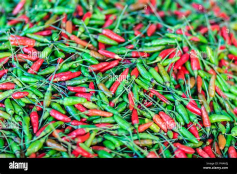 Pile green birds eye chillies hi-res stock photography and images - Alamy