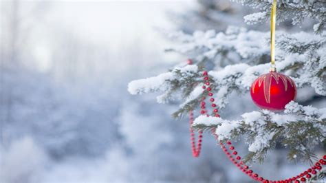 Xmas Wallpapers (66+ images)