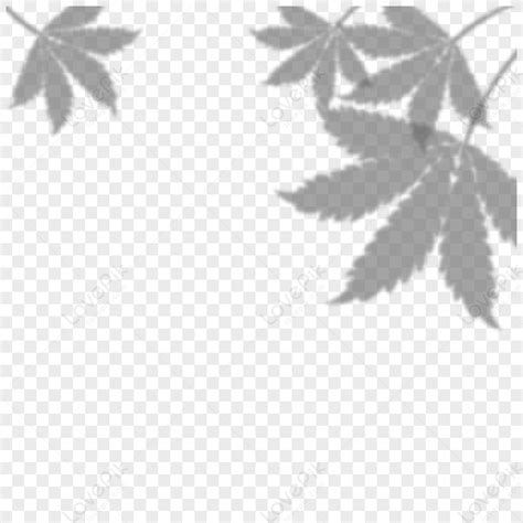 Marijuana Leaf Foliage Plant Shadow Overlay,plants,weeds PNG Image And ...