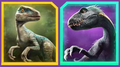 BLUE Vs INDORAPTOR - Jurassic World Alive
