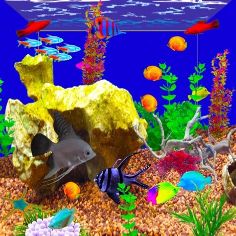 Aquarium Simulator by S.Mehdi Nabavi Zadeh