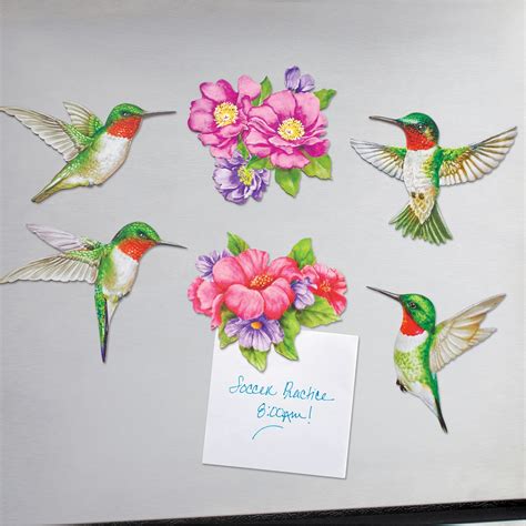 Hummingbirds & Flowers Kitchen Refrigerator Magnets - Set of 6 ...