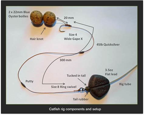 How to tie the best catfish rig for lakes