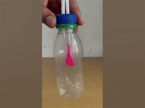 👨🏼‍🔬Boyle's law example with Balloon & Stro bottle 🤯 school science ...