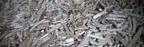 Services – Top Price Recycling