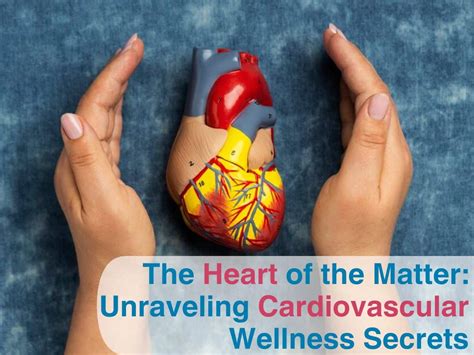 The Heart of the Matter: Unraveling Cardiovascular Wellness Secrets ...