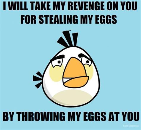 some of the best angry bird memes : r/angrybirds