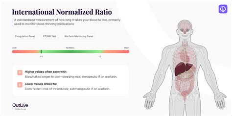 Understanding Your INR Test Results - OutliveAI - AI Health Assistant