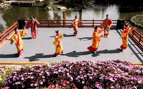 Traditional Japanese Dance Performance in Buenos Aires · Free Stock Photo