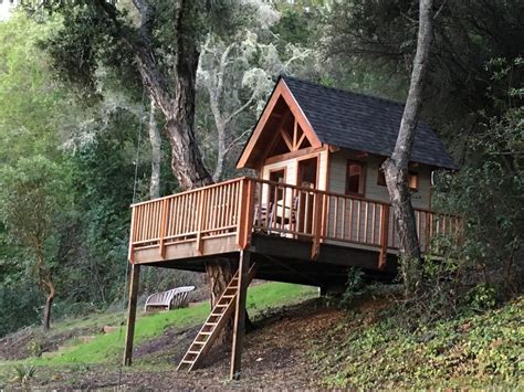 Tree Fort - Craftsman - Exterior - San Francisco - by Geoff Okarma ...