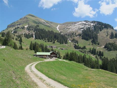 Juifen - Alchetron, The Free Social Encyclopedia