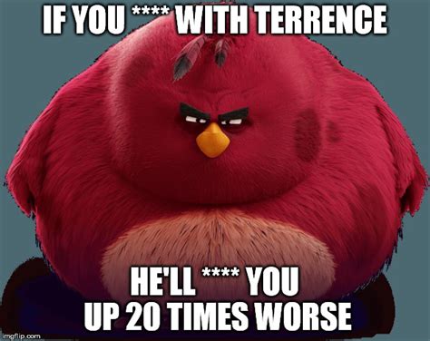 Funny Angry Bird Memes