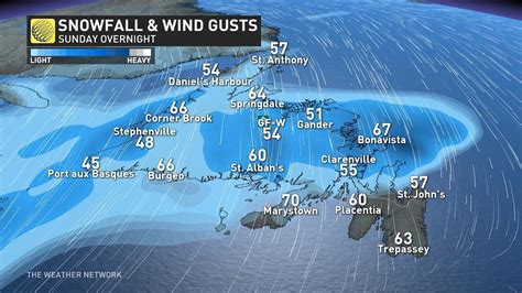 Record snowfall buries parts of Maritimes, sets sights on Newfoundland ...