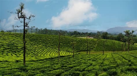 Coimbatore Weather Wonders: Explore Covai's Seasonal Joys » Agoda: See ...