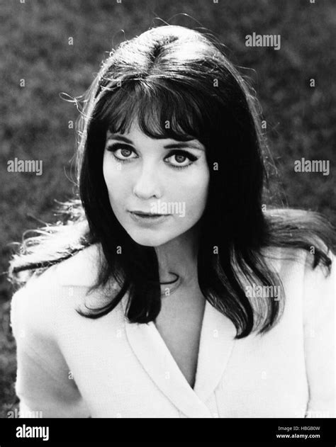 THE APPALOOSA, Anjanette Comer, 1966 Stock Photo - Alamy