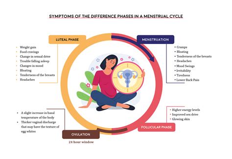 Menstrual Cycle | A Guide to the Phases of Menstrual Cycle